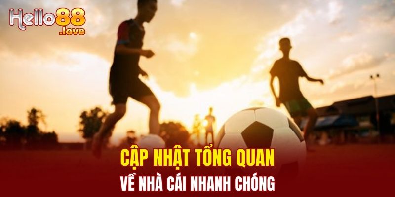 Thể Thao Hello88 - Không Gian Chất Lượng Nhất Năm 2025 3 Cập nhật tổng quan về nhà cái nhanh chóng