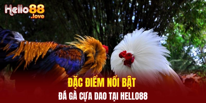 Đá Gà Cựa Dao - Bùng Nổ Cảm Xúc Với Màn So Tài Quyết Liệt 2 Đặc điểm nổi bật khi tham gia đá gà tại nhà cái