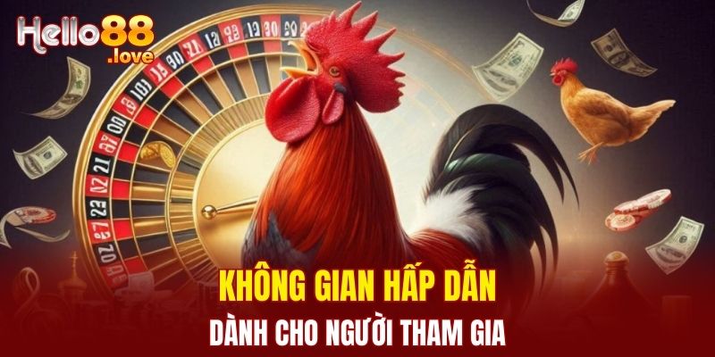 Đá Gà Hello88 - Trực Tiếp Với Những Trận Đấu Hấp Dẫn Nhất 1 Không gian hấp dẫn dành cho người tham gia