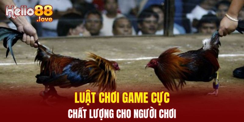 Đá Gà Hello88 - Trực Tiếp Với Những Trận Đấu Hấp Dẫn Nhất 2 Luật chơi game cực chất lượng cho người chơi